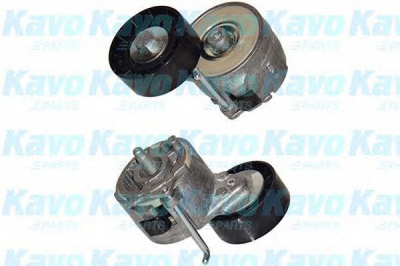 KAVO PARTS dtp8502 -  Натяжной ролик, поликлиновой  ремень